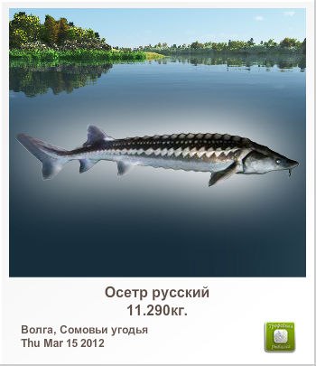 Андрей Асланов | Йошкар-Ола