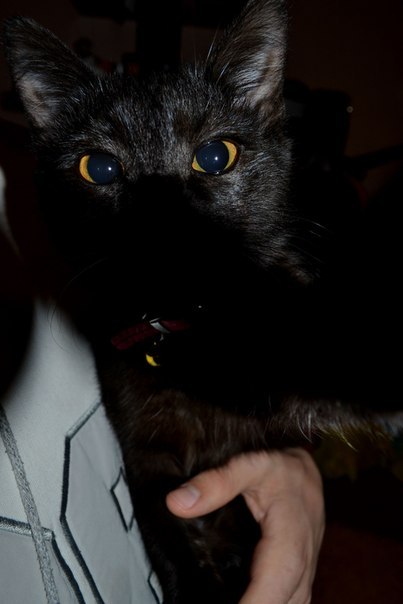 Володимир Войтюк | Каменец-Подольский