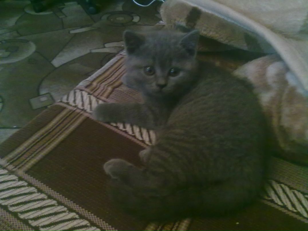 Владимир Вотяков Странный_романтик | Королёв