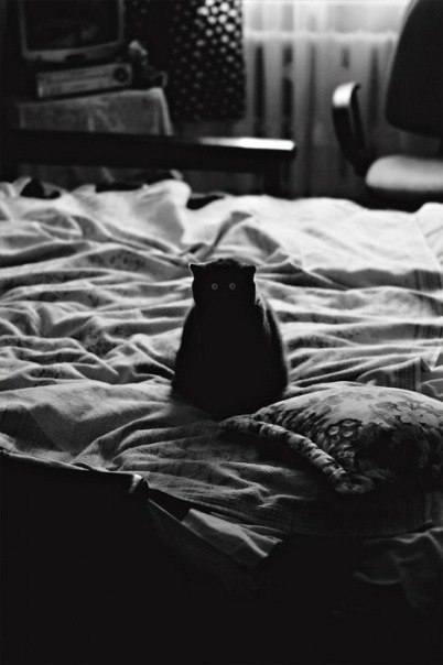 Алексей Грищенко | Санкт-Петербург