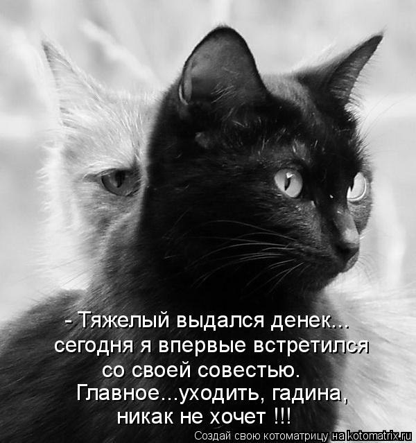 Екатерина Поповских | Екатеринбург