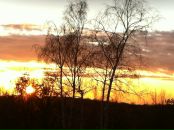 №17 Анастасия Косицына 05.02: профиль, фото, статус - ВКонтакте