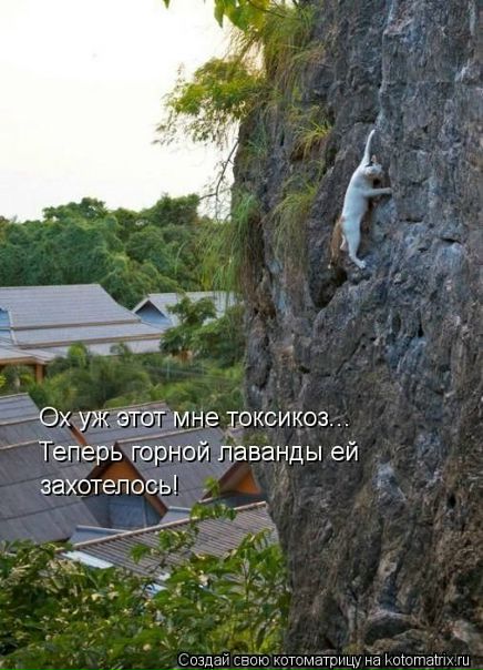 №82, Анита Терехина, 37 лет, Москва №82, Анита Терехина, 37 лет, Москва