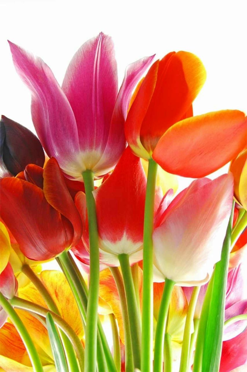 Алина Резникова Игоревна | Санкт-Петербург