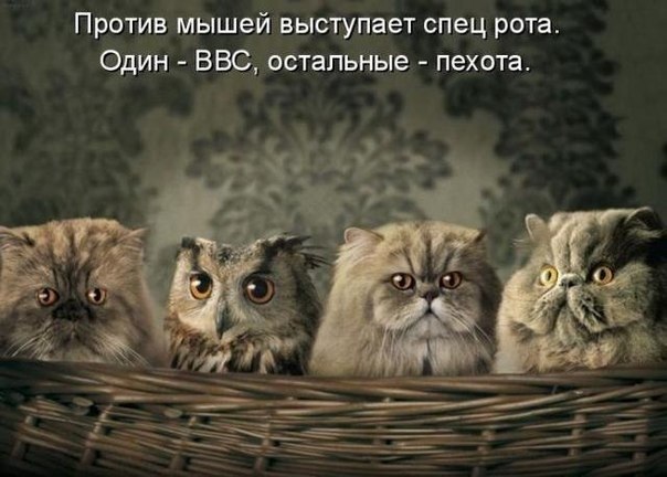 №47, Алексей Лукин, Москва №47, Алексей Лукин, Москва