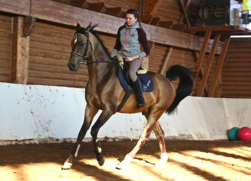 Елена Чумакова | Новороссийск