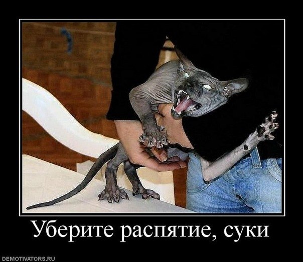 Ильяс Татарин | Челябинск