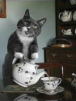 Марат Сагинбаев | 