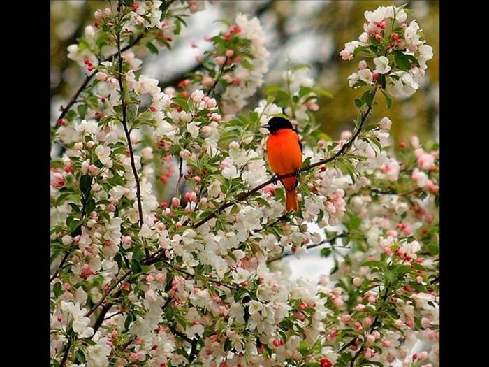Татьяна Мельничихина | Мурманск