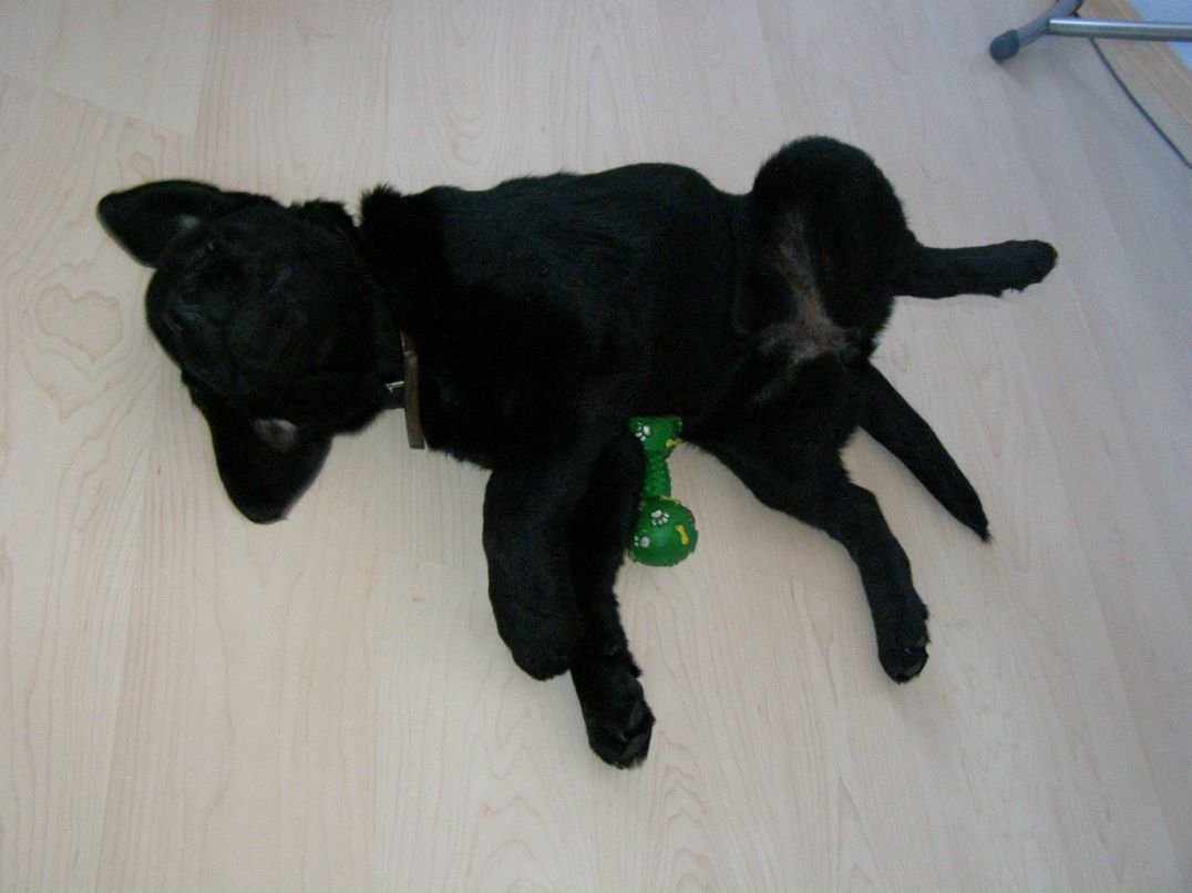 Юлия Пчёл | Омск