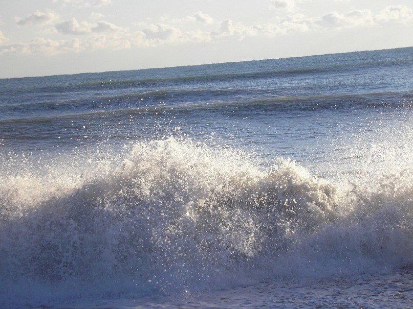 Марина Цветкова | Сыктывкар