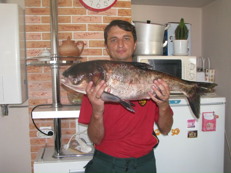 Александр Липатов | Москва