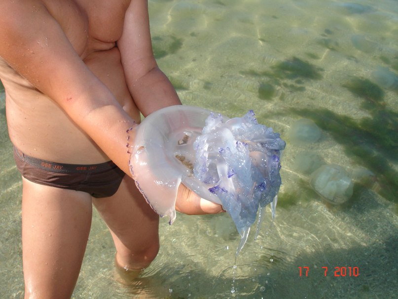 Юлия Бурыкина | Орёл