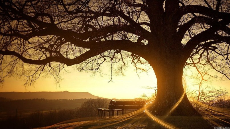 Андрей Клинчев | Valencia