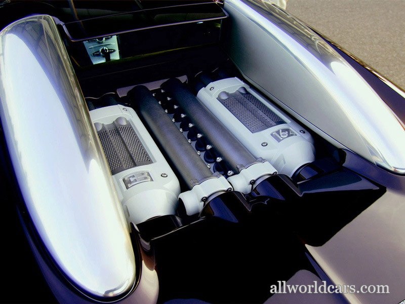 Daria Korchagina *miss | Milano