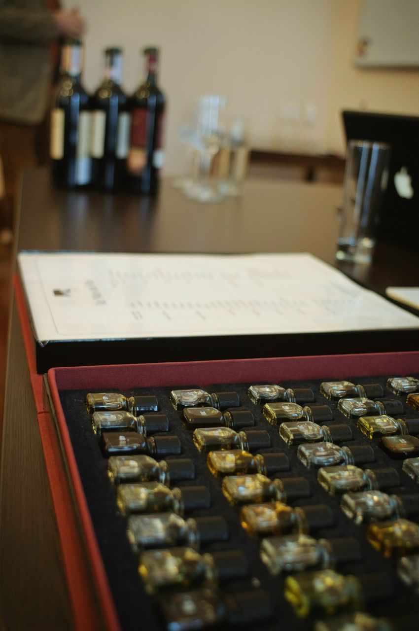 Дарина Зырянова | Ужгород