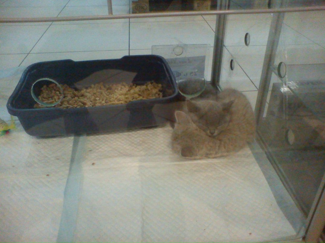 Иван Мартынюк Владимирович | Мегион