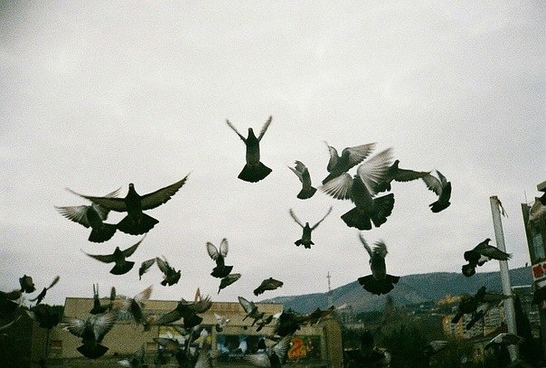 Анастасия Дмитриева | Оренбург