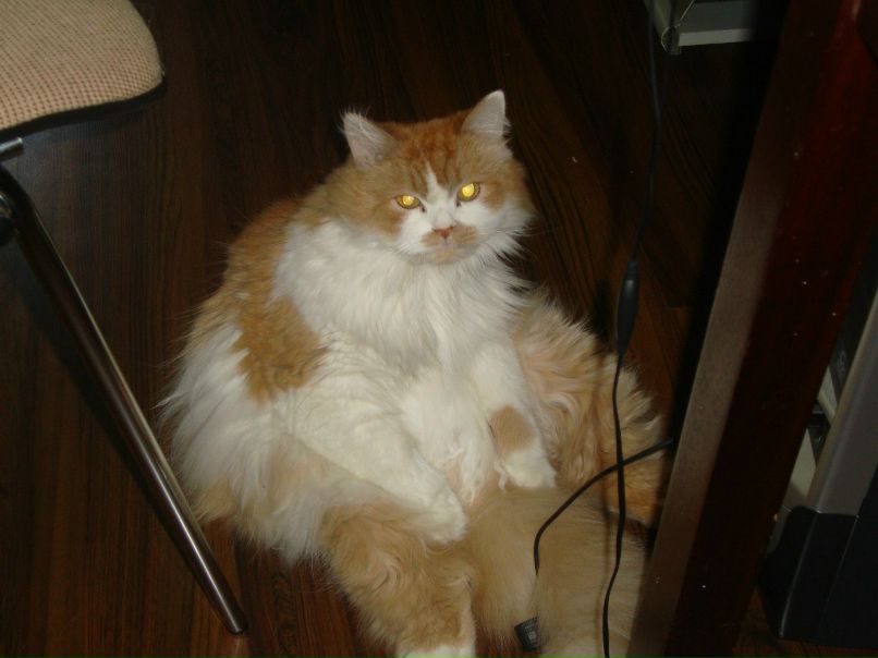 Екатерина Фесенко | Челябинск