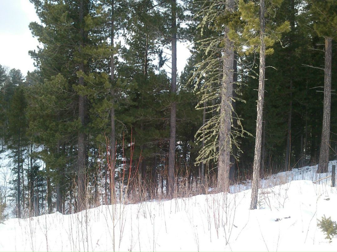 Александр Бугуртов | Стрежевой