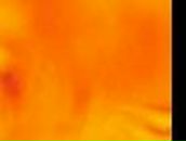 Вера Курьина | Челябинск