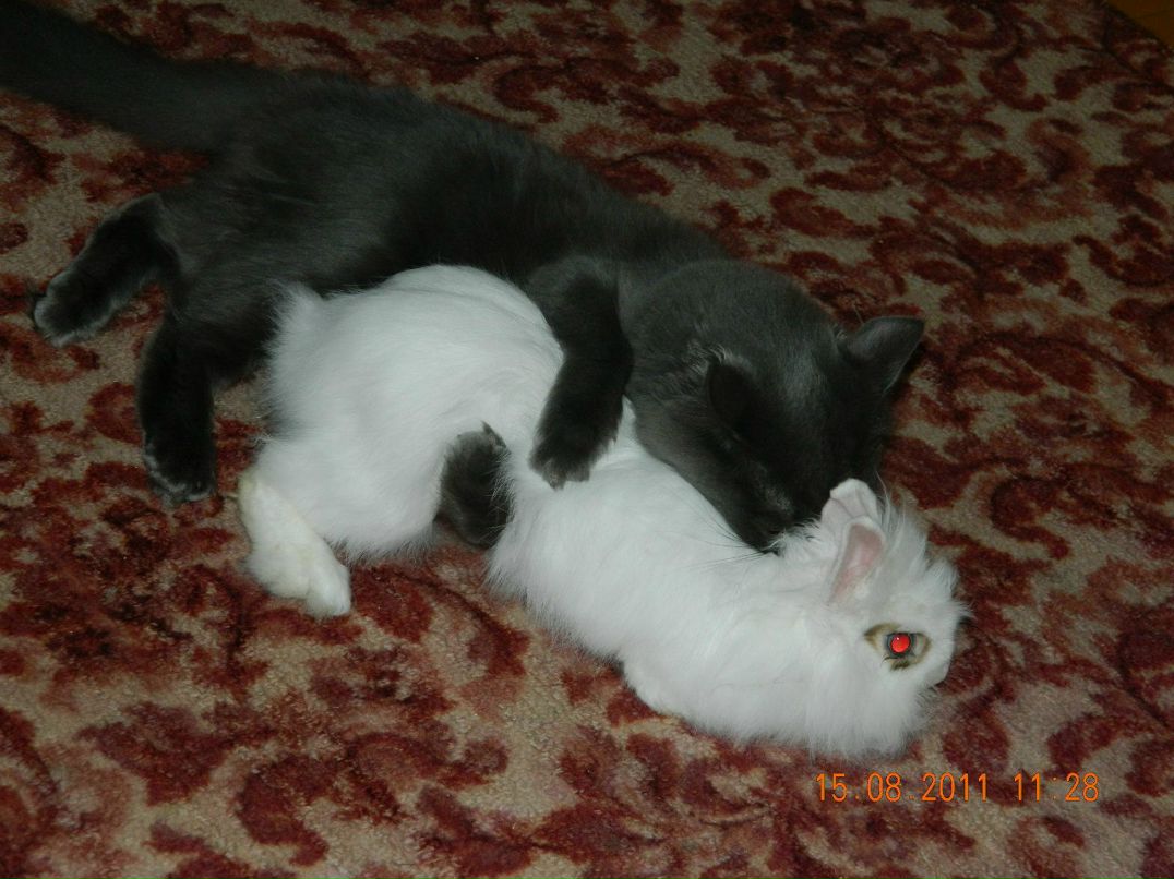 Евгений Мельниченко W | Челябинск