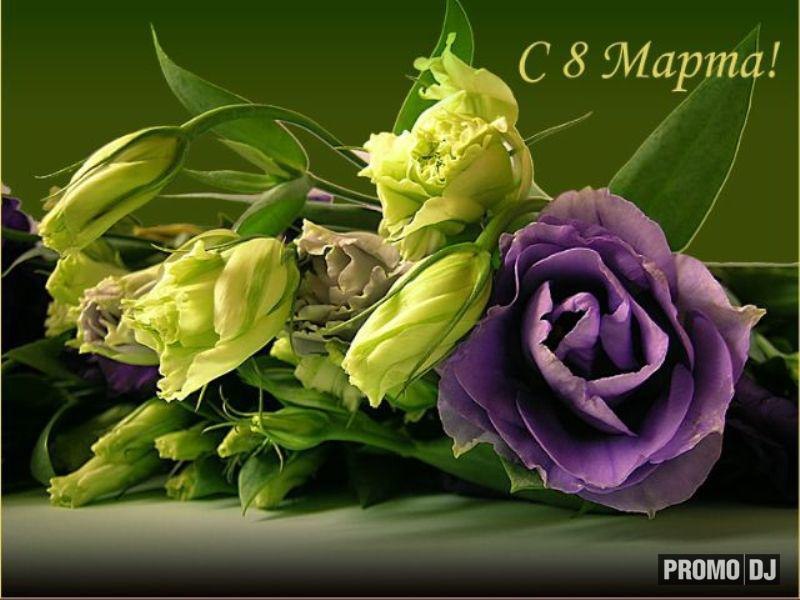 Сергей Негрий | Санкт-Петербург