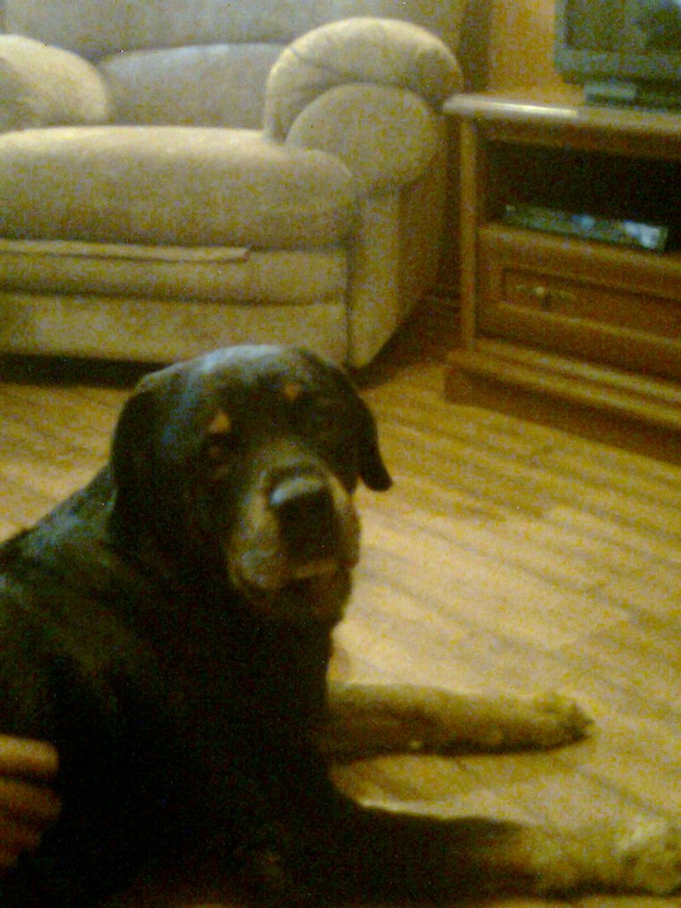 Артем Ефремов | Сыктывкар