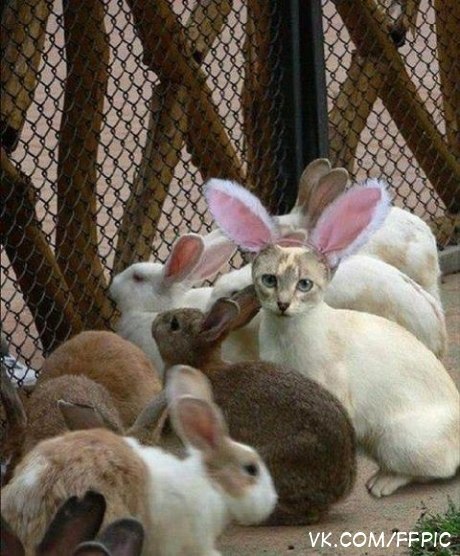 Татьяна Яшина ♫♫♫ | Екатеринбург