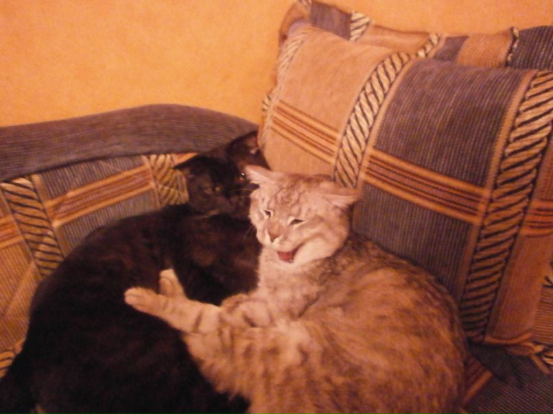 Ксения Ахметова | Тольятти