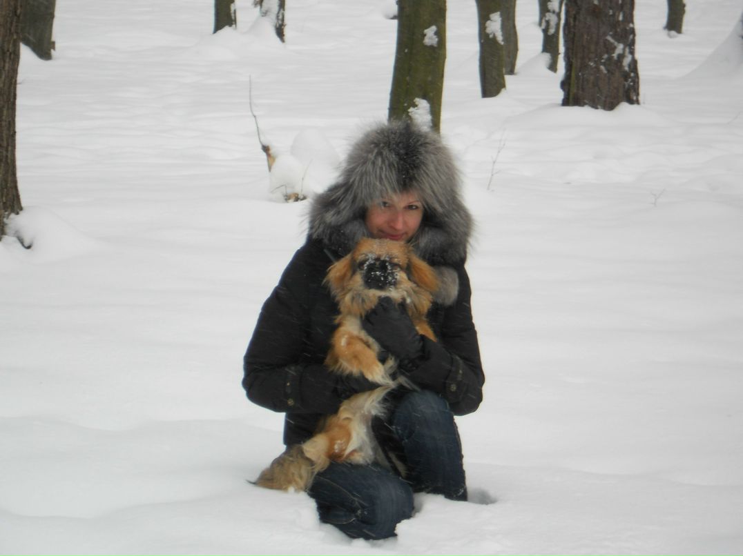 Ореста Цар | Львов