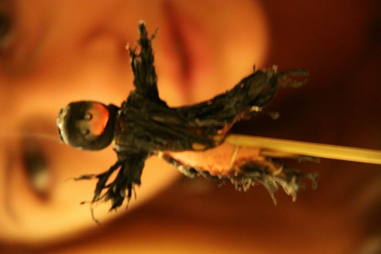 Зоя Кондратенко Кролег✈ | Санкт-Петербург