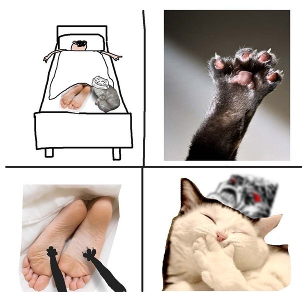 Анна Ваулина | Ярославль