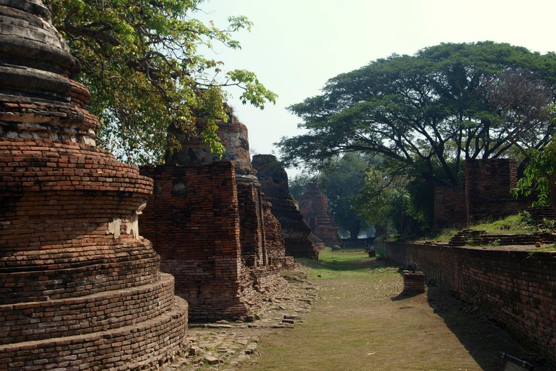 Виктория Носаченко | Москва
