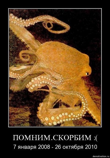 №49, Валерия Котова, Москва №49, Валерия Котова, Москва