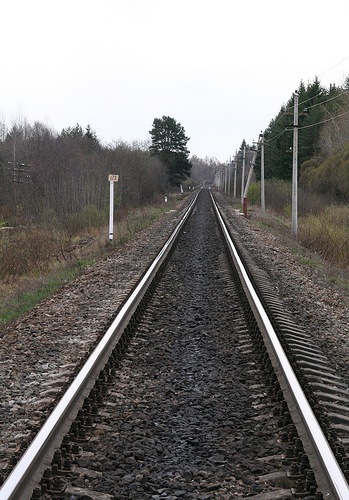 №106, Павел Бедарев №106, Павел Бедарев