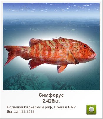 Alexandr Skalozub | Хорошев / Володарск-Волынский