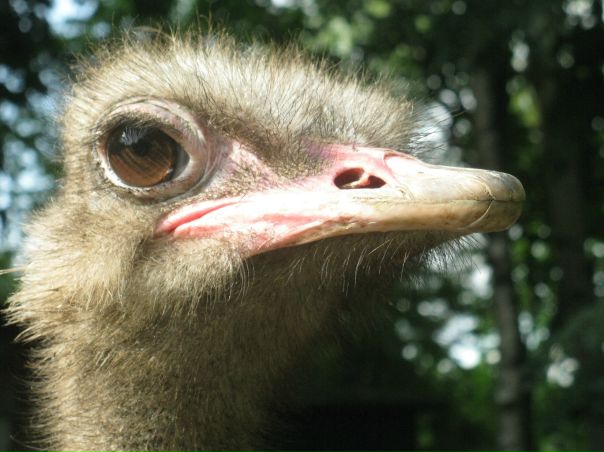 №133, Олександр Слобода №133, Олександр Слобода