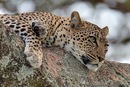 Фотография Теплухиной Ирины