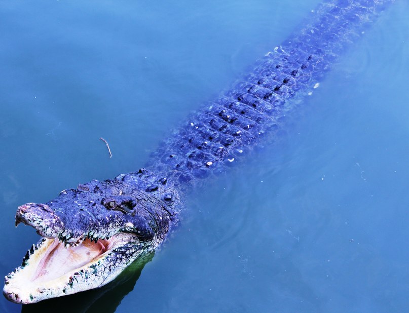 Лейсан Леся | Казань