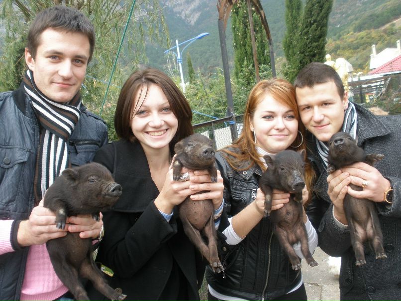 Дмитрий Давыденко | Севастополь