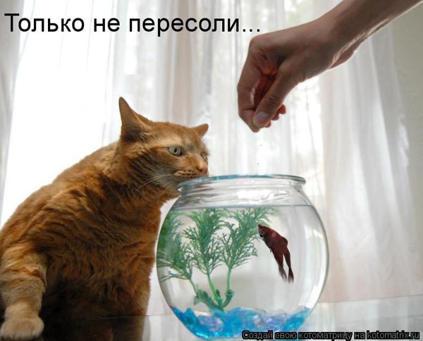 Надежда Кубрина | Омск