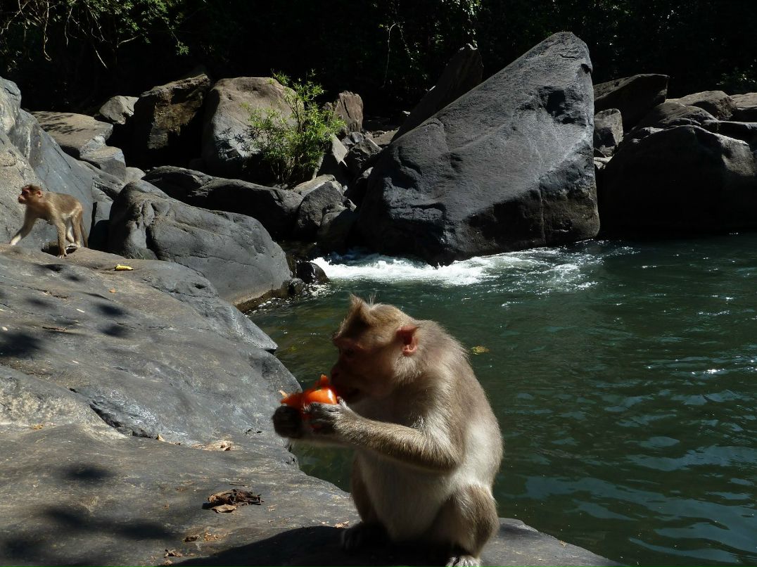 Анна Чесанова | Санкт-Петербург