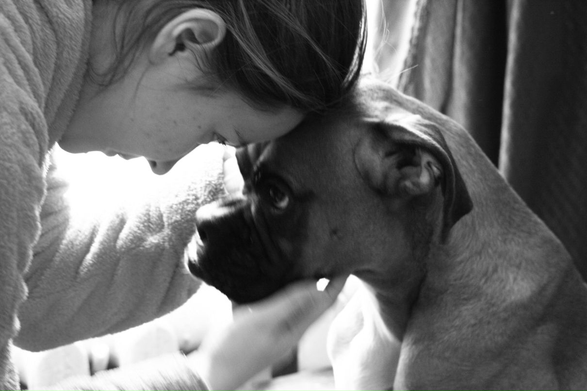 Аня Данилова DAN | 