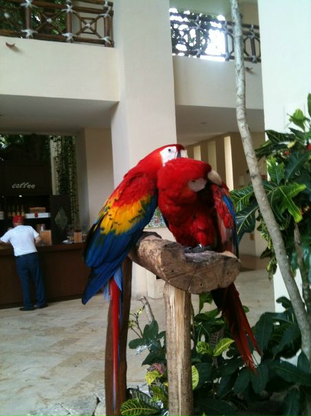 №11, Лев Пак, Москва №11, Лев Пак, Москва