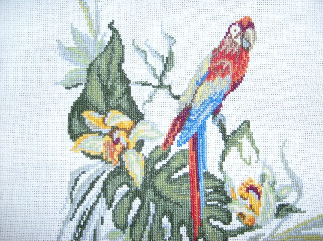 Татьяна Шапковская | Санкт-Петербург