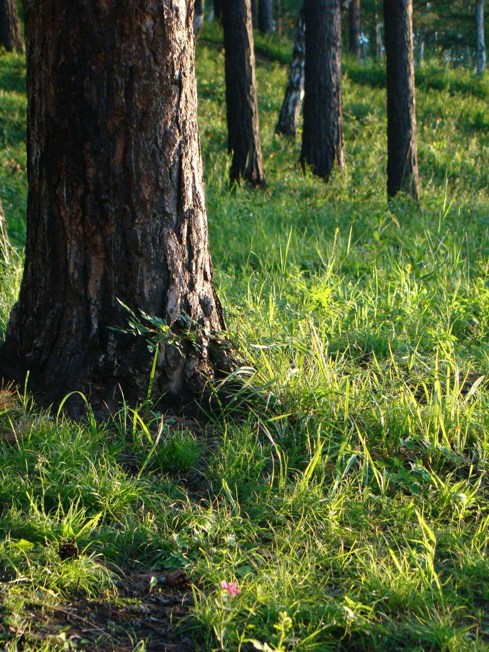 Анастасия Аньхой | Иркутск