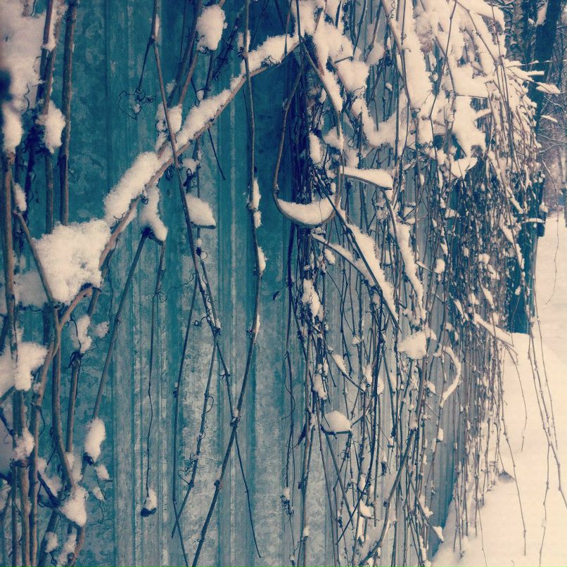 Екатерина Лапатанова | Москва