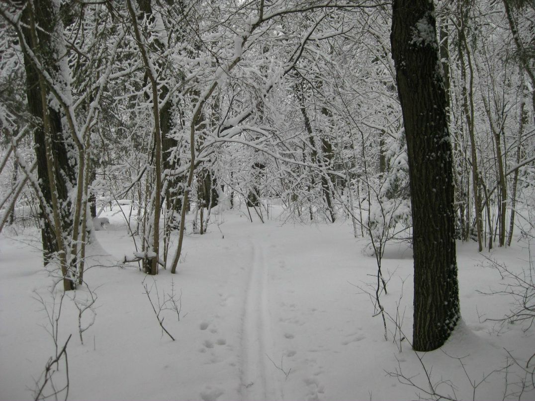 Александр Молчанов | Москва