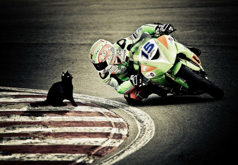 Илья Мазарчук | Красноярск